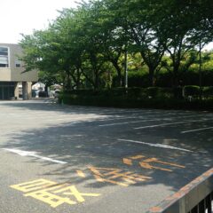 入口